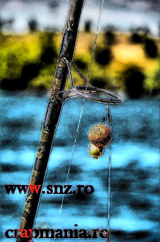 Debutmania - 2013 (1) - 1030366hdrmode2.JPG